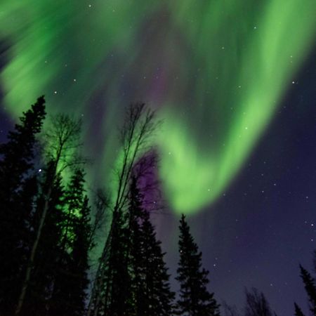North Pole Riverside Log Cabin On-Site Aurora Viewing! מראה חיצוני תמונה