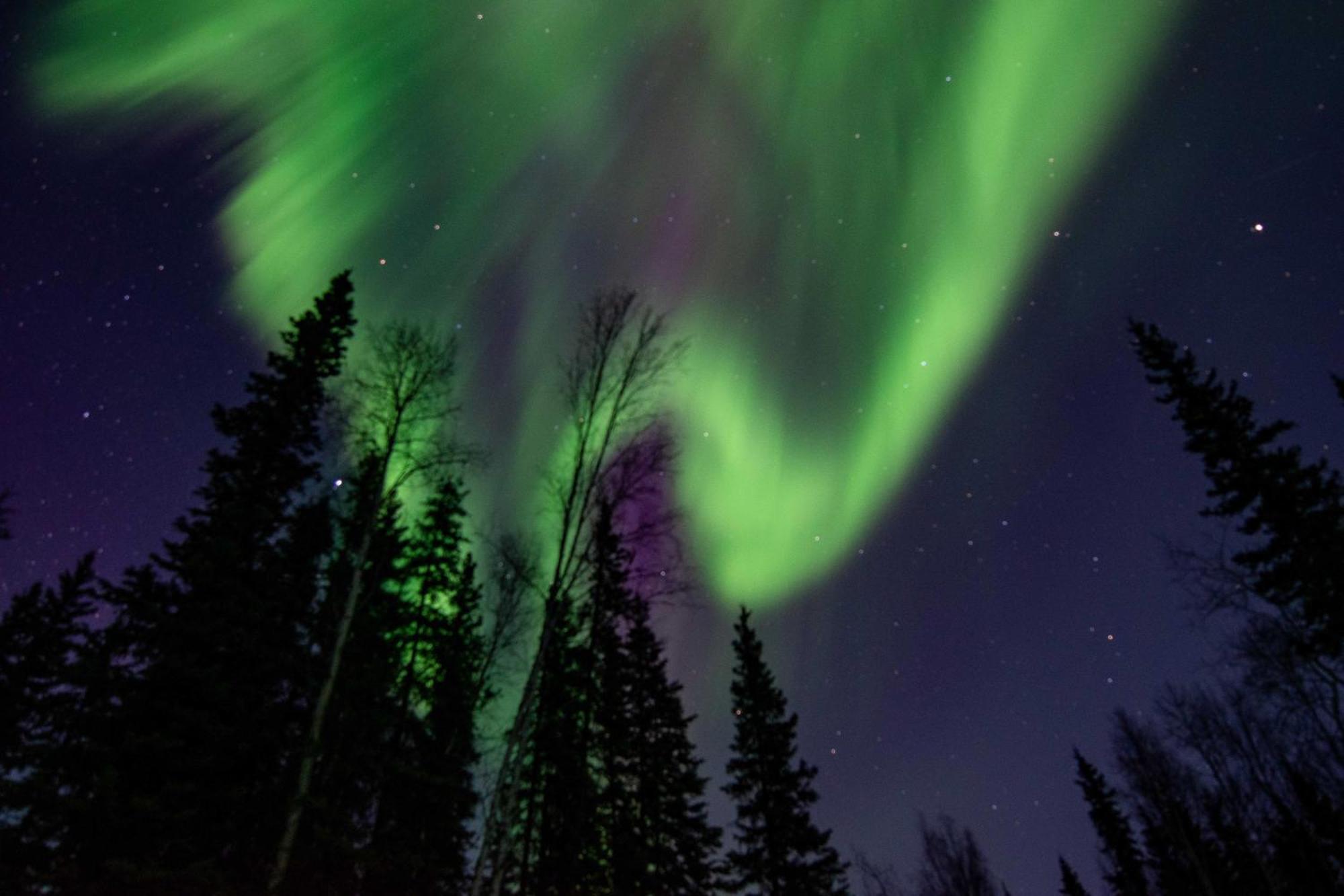 North Pole Riverside Log Cabin On-Site Aurora Viewing! מראה חיצוני תמונה